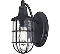 Westinghouse iluminación 6334740 Aplique para exteriores de una sola luz Crestview, acabado negro texturizado con vidrio transparente fantasía