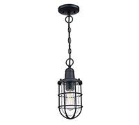 Westinghouse iluminación 6334840 Lámpara colgante para exteriores de una sola luz Crestview, acabado negro texturizado con vidrio transparente fantasía