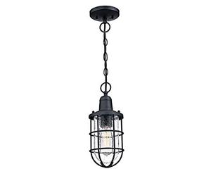 Westinghouse iluminación 6334840 Lámpara colgante para exteriores de una sola luz Crestview, acabado negro texturizado con vidrio transparente fantasía