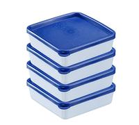 Westmark 4 tarros de congelación, incl. tapa, volumen de llenado: 0,25 l cada uno, apilables, plástico, Trio, color: transparente/azul, 25042270