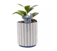 Widdop and Co Maceta Disney Stitch con puntada 3D y planta sintética