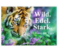 Wild.Edel.Stark. - Im Bann der Tiger (Wandkalender 2027 DIN A2 quer), CALVENDO Monatskalender: Zwölf faszinierende Bilder, die die Schönheit und Kraft der Tiger eindrucksvoll in Szene setzen.
