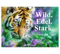 Wild.Edel.Stark. - Im Bann der Tiger (Wandkalender 2027 DIN A4 quer), CALVENDO Monatskalender: Zwölf faszinierende Bilder, die die Schönheit und Kraft der Tiger eindrucksvoll in Szene setzen.