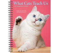 Willow Creek Press, Agenda de compromiso What Cats Teach Us 2027 de 6.5 x 8.5 pulgadas