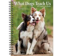 Willow Creek Press, Agenda de compromiso What Dogs Teach Us 2027 de 6.5 x 8.5 pulgadas