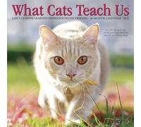 Willow Creek Press, Cats What Cats Teach Us - Mini calendario de pared 2027