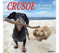 Willow Creek Press Crusoe the Celebrity Dachshund - Calendario de pared 2026, calendario de perro de 18 meses con fotografía de perro salchicha a todo color, aventuras y vacaciones (12 x 12 pulgadas)