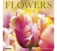 Willow Creek Press, Flowers 2027 - Mini calendario de pared de 7 x 7 pulgadas