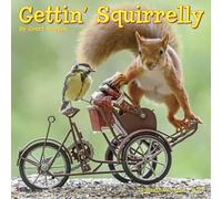 Willow Creek Press, Gettin Squirrelly 2027 - Mini calendario de pared de 7 x 7 pulgadas