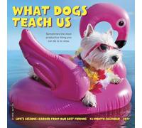 Willow Creek Press, What Dogs Teach Us - Mini calendario de pared 2027
