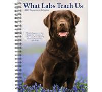 Willow Creek Press, What Labs Teach Us - Planificador de compromiso 2027 de 6.5 x 8.5 pulgadas