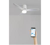 WIND CALM LINE - Ventilador De Techo 40W Silencioso Ø132 Cm 100% Madera WIFI + Mando A Distancia