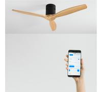 WIND CALM - Ventilador De Techo 40W Silencioso Con Aspas De ABS Técnico Varios Tamaños Sin Luz