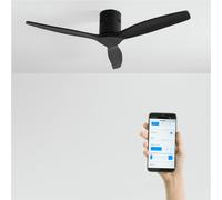 WIND CALM - Ventilador De Techo 40W Silencioso Con Aspas De ABS Técnico Varios Tamaños Sin Luz