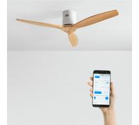 WIND CALM - Ventilador De Techo 40W Silencioso Con Aspas De ABS Técnico Varios Tamaños Sin Luz