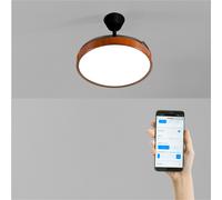 WIND CLEAR STUDIO - Ventilador De Techo 40W Silencioso Aspas Retráctiles Con Luz LED Varios Tamaños WIFI + Mando A Distancia