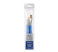 Winsor & Newton Cotman - set de 5 pinceles Cotman incluye: Serie 111 n°0, nº2, nº6, Serie 333 nº1 y Serie 666 13mm