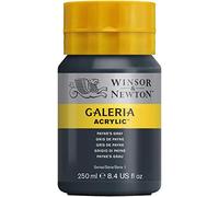 Winsor & Newton Galería - Pintura Acrílica , 250 ml, Gris (Payne's Gray)