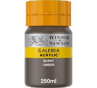Winsor & Newton Galería Pintura Acrílica, Marrón (Burnt Umber), 250 ml, 250