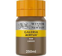 Winsor & Newton Galería Pintura Acrílica, Marrón (Raw Umber), 250 ml, 250