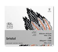 Winsor & Newton Papel - Bloc de papel Bristol 250g 35,6x43,2cm 20 hojas