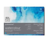 Winsor & Newton Papel de Acuarela Profesional, Grano Fino, 300gr, 100% Algodón, Blanco Natural, Libre de Ácidos, 25,4X35,6CM, Bloc Encolado en los 4 Lados, 20 Hojas