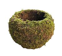 WIVAYE Maceta de bola de musgo natural de 15 cm, maceta Kokedama con forma de nido de pájaro para decoración del hogar, mesa, oficina