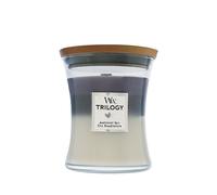 WoodWick Trilogy Amethyst Sky vela aromática con mecha de madera 275 g