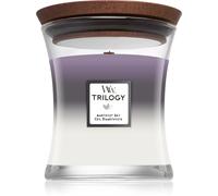 WoodWick Trilogy Amethyst Sky vela aromática con mecha de madera 275 g