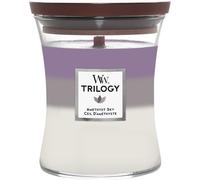 WoodWick Velas perfumadas Cielo amatista 275 g 275 g