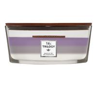 WoodWick Velas perfumadas Cielo amatista 454 g 454 g