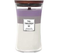 WoodWick Vela perfumada Trilogy Amethyst Sky – Mecha de madera crepitante 623 g Unisex