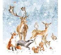 Wrendale Designs por Hannah Dale - Maravilla Invernal - Caja de tarjetas navideñas - Paquete de 8