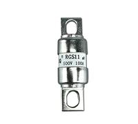 WTEPNQQDI 10 unids/Lote Fusible de cerámica RGS11 CR2L GSB 10A 16A 20A 25A 30A 32A 35A 40A 50A 63A 75A 80A 100A 125A 150A 160A 250V/500V(Rgs11-500v,100A)