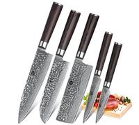 XINZUO Set Cuchillo Cocina 5 Piezas, 67 Capas de Acero de Damasco Profesional Juegos de Cuchillo de Cocinero, Cuchillo Chef Santoku Nakiri Universal Fruta con Mango de Madera de Pakka-He Serie