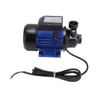 Xiuganpo Bomba de Pozo Poco Profundo, 230 W, 1,5 M³/h, 25 M de Cabeza NPT 1, Bomba de Chorro de Hierro Fundido, de Transferencia de Agua de Riego con Motor de Doble Rodamiento de Bolas de 3800 RPM