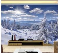 XLMING Belleza Cielo Azul Nubes Blancas Bosque Paisaje Nevado 3D Papel Pintado Lujo Casa Sala Decoración Estar Comedor Sofá Dormitorio TV Fondo de Pared-300cm×210cm