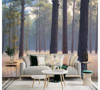 XLMING Pinos Envueltos En Niebla Bosque Pradera Dorada Luz Del Amanecer Paisaje Natural 3D Papel Pintado Tapiz Textura de Seda Oficina Comedor Sofá Dormitorio Sala Estar TV Fondo Pantalla-250cm×170cm