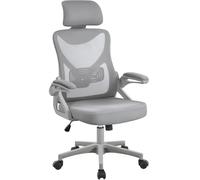 Yaheetech Silla de Oficina Ergonomica con Soporte Lumbar Escritorio Gris