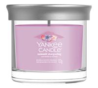 Yankee candle 2652759e vela alrededor púrpura 1 pieza(s)