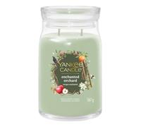 Yankee candle 2653158e vela alrededor verde, transparente 1 pieza(s)