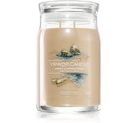 Yankee Candle Amber & Sandalwood vela perfumada 567 g
