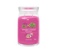 Yankee Candle Art In The Park signature vela grande 567 g