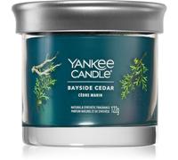 Yankee Candle Bayside Cedar vela perfumada 122 g