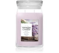 Yankee Candle Dried Lavender & Oak vela perfumada 567 g