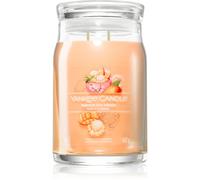 Yankee Candle Mango Ice Cream vela perfumada Signature 567 g