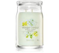 Yankee Candle Midnight Jasmine vela perfumada I. Signature 567 g