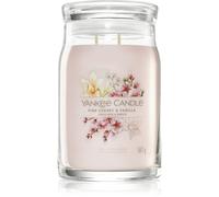 Yankee Candle Pink Cherry & Vanilla vela perfumada Signature 567 g