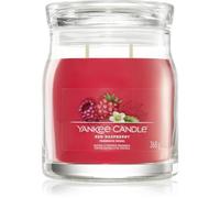 Yankee Candle Red Raspberry vela perfumada Signature 368 g