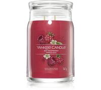 Yankee Candle Red Raspberry vela perfumada Signature 567 g